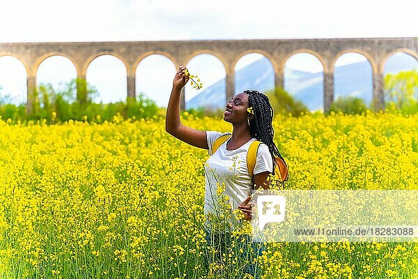 Ein schwarzes ethnisches Mädchen mit Zöpfen  eine Reisende  in einem gelben Blumenfeld  betrachtet die Blumen