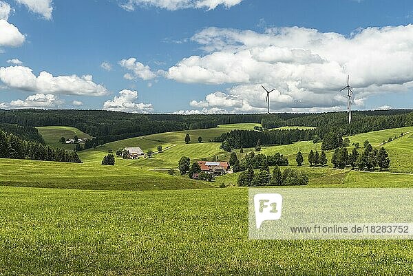 Hügellandschaft im Schwarzwald mit Bauernhäusern und Windturbinen  umgeben von Tannenwald  St. Peter  Baden-Württemberg  Deutschland  Europa