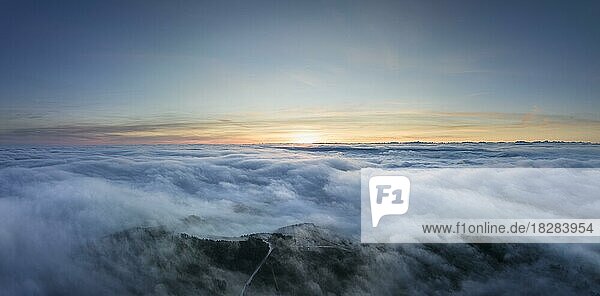Aerial view of Hegaublick in front of sunrise  surrounded by fog  during an inversion weather situation  Hegau  district of Konstanz  Baden-Württemberg  Germany  Europe