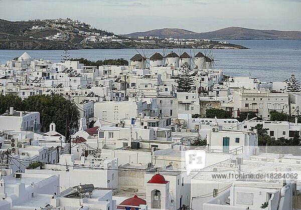 Ausblick über die weißen kykladischen Häuser von Mykonos Stadt mit Windmühlen  Mykonos  Kykladen  Griechenland  Europa