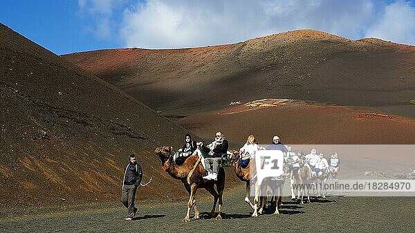 Camel safari  camels  tourists  lava hills  Timanfaya National Park  fire mountains  volcanic landscape  blue sky  grey-white clouds  Lanzarote  Canary Islands  Spain  Europe