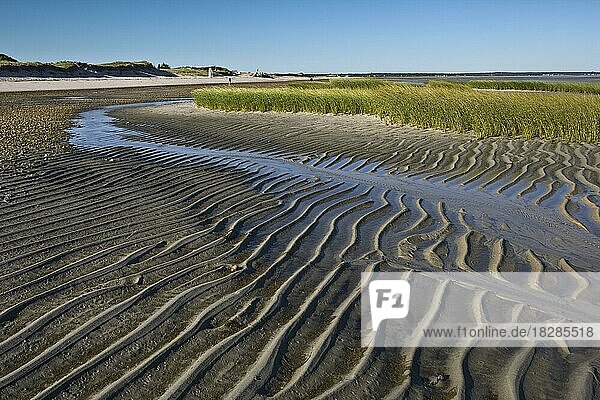 Low Tide  Cape Cod Bay  Massachusetts  USA  North America
