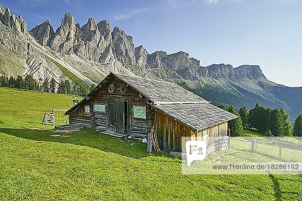 Alpine pasture in front of mountain panorama in Villnöss Valley  Geislerspitzen  South Tyrol  Italy  Europe