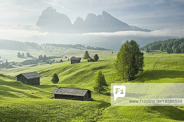 Almhütten auf grünen Almen vor Bergen  Langkofel und Plattkofel mit Nebel  Seiser Alm  Dolomiten  Südtirol
