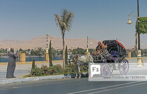Horse-drawn carriage  tourists  Corniche waterfront  Luxor  Egypt  Africa