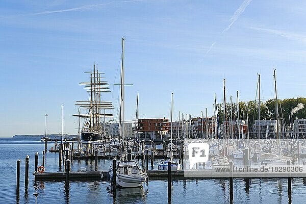 Yachthafen mit Segelschiff Passat  Priwall  Travemünde  Lübeck  Schleswig-Holstein  Deutschland  Europa
