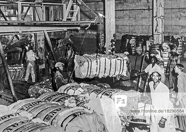 1940 Schwarz-Weiß-Archivfoto  das schwarze afro-amerikanische Arbeiter zeigt  die schwere Baumwollballen für den Transport per Schiff vorbereiten  Texas  USA  Nordamerika