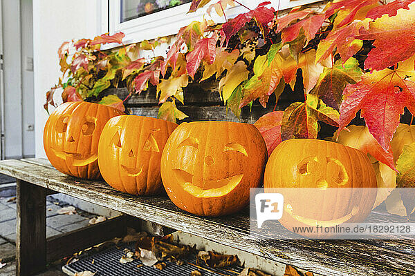 Halloween pumpkins on wooden bench