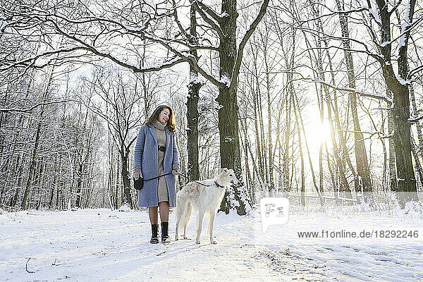 Happy woman standing with greyhound dog in front of bare trees at winter park