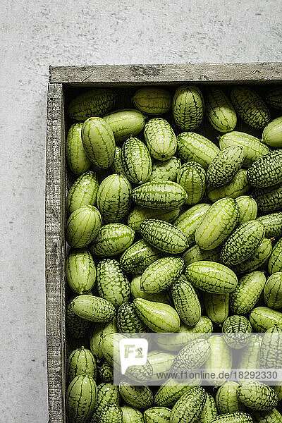 Crate of freshly picked cucamelons (Melothria scabra)