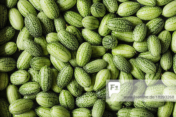 Full frame of fresh cucamelons (Melothria scabra)