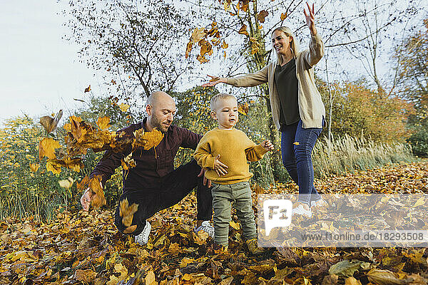 Playful family throwing autumn leaves with baby boy enjoying in forest