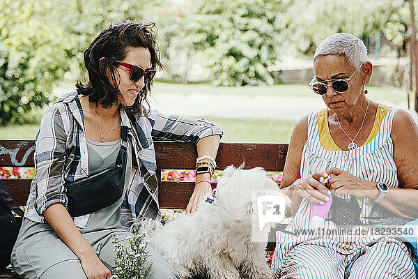 Shih Tzu sitting amidst women on bench in park