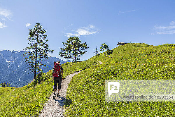 Germany  Bavaria  Female hiker on way to Hoher Kranzberg