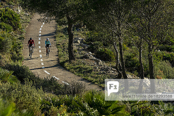 Cyclists riding cycles together on mountain road by trees