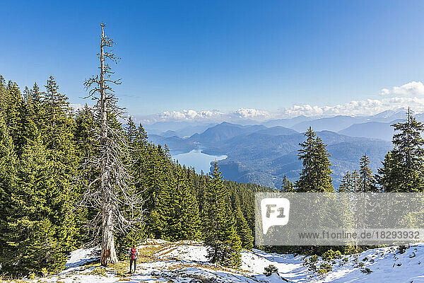 Germany  Bavaria  Female hiker looking toward Walchensee Lake seen from summit in Ester Mountains