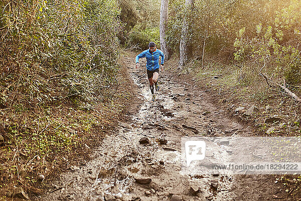 Man trail running on dirt road in forest at morning