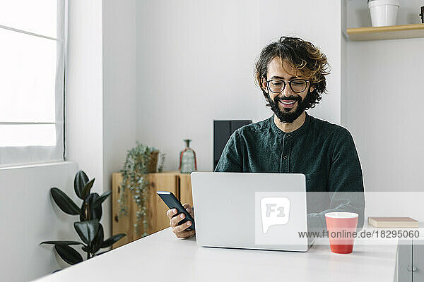 Happy mature businessman using laptop at desk