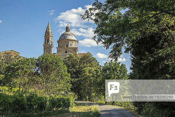 Italy  Tuscany  Montepulciano  Green trees surrounding footpath leading to San Biagio church
