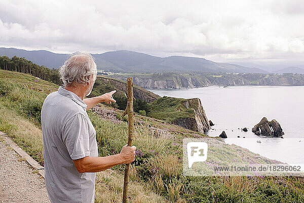 Senior man with stick pointing at mountains