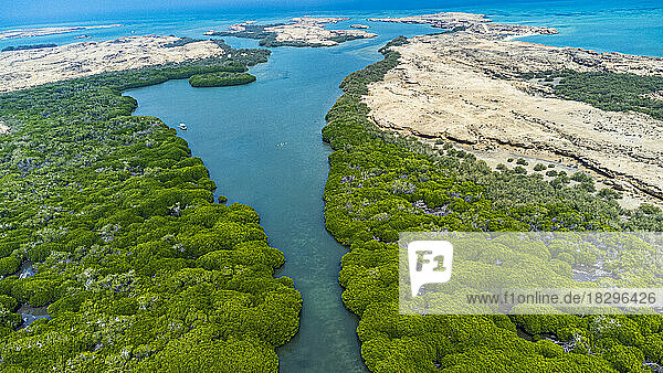 Saudi Arabia  Jazan Province  Aerial view of mangrove forest in Farasan Islands archipelago