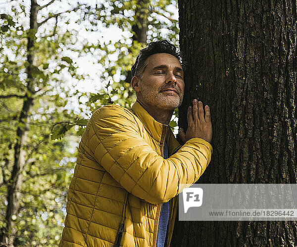 Smiling mature man hugging tree in forest