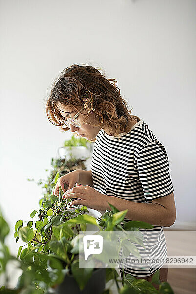 Woman taking care of plants at home