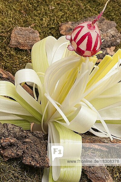 Deko Blume aus Lauch und Radieschen geschnitzt