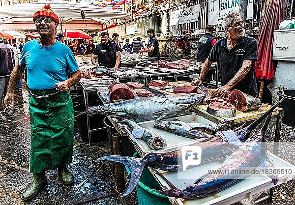 Schwertfische  historischer Fischmarkt La pescheria mit einer Fuelle bunter Meerestiere  Catania  Catania  Sizilien  Italien  Europa
