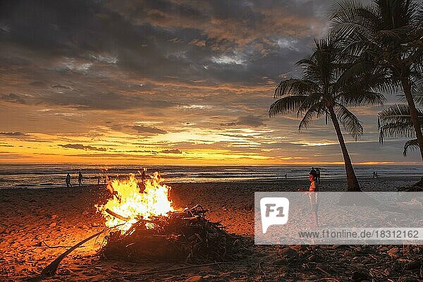 Campfire on the beach of Santa Teresa  Peninsula de Nicoya  Guanacaste  Costa Rica  Central America