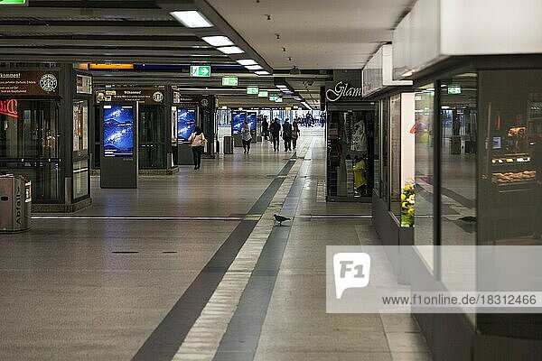 Zugang zu den Bahnsteigen  Hauptbahnhof  ÖPNV  Düsseldorf  Deutschland  Europa