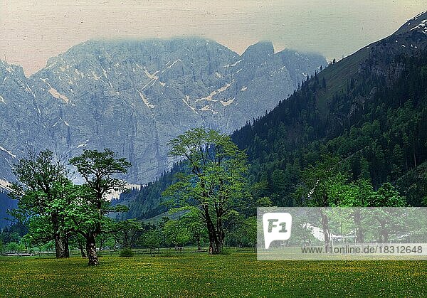 AUT  Österreich  Karwendel: Der Achensee  die Leutasch und insbesondere der Grosse Ahornboden sind sehenswerte Naturschutzgebiete im Karwendel  hier am 17.5.1992  dort lohnt sich ein Besuch immer. Großer Ahornboden  Europa