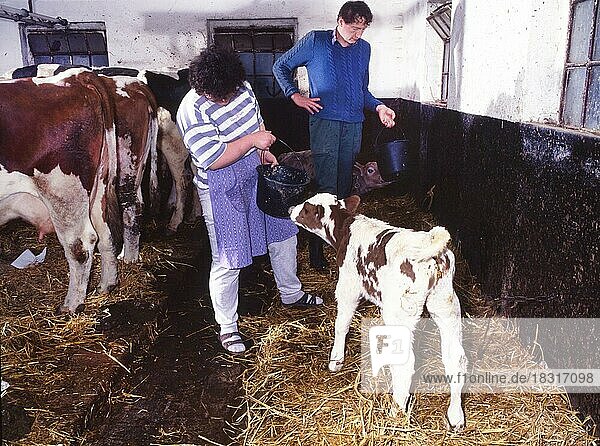 Kleinbauern in der Landwirtschaft  hier am 19. 4. 1995 in Iserlohn  bei ihrer taeglichen oft schweren Arbeit  Deutschland  Europa