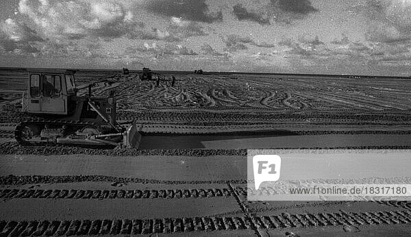 Die Maasvlakte in den Niederlanden zu Beginn der Bauarbeiten am 10. 11. 1971 an einem sehr grossen internationalen Hafen nahe Rotterdam  NDL  Niederlande  Europa