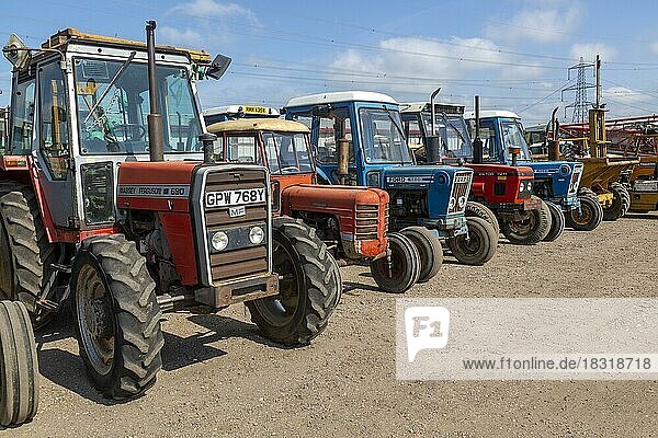 Alte Traktoren aufgereiht zum Verkauf bei einer Auktion  Campsea Ashe  Suffolk  England  UK