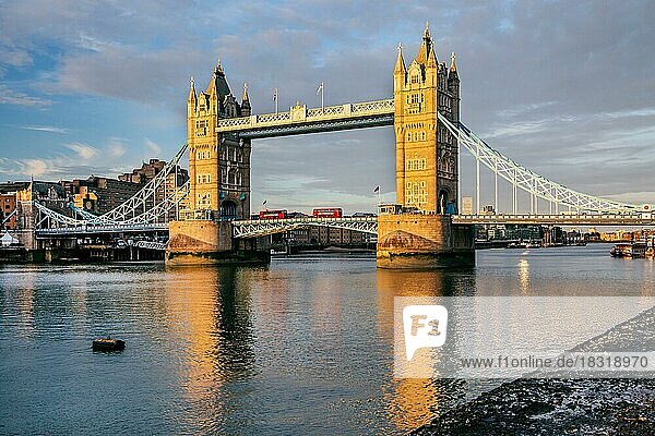 Tower Bridge over the Thames in the evening sun  London  City of London  England  United Kingdom  Great Britain  Europe