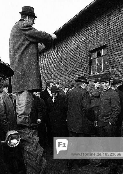 The auction of a farm on 2. 3. 1972 in the Münsterland in Ascheberg with all inventory and livestock  Germany  Europe