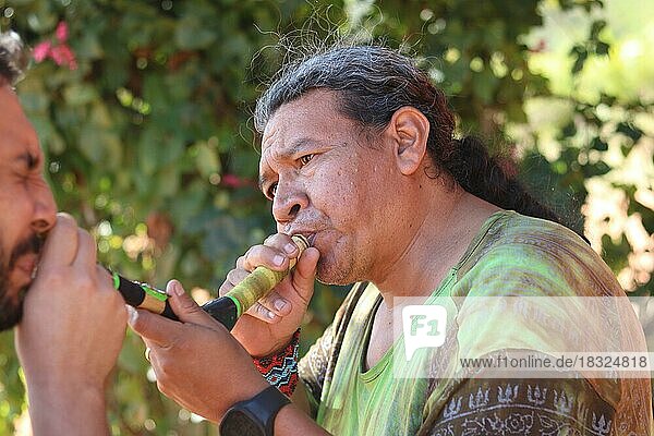 Indigenous people  use of sacred indigenous snuff (rapé) by an indigenous Guaraní man  Brazil  South America