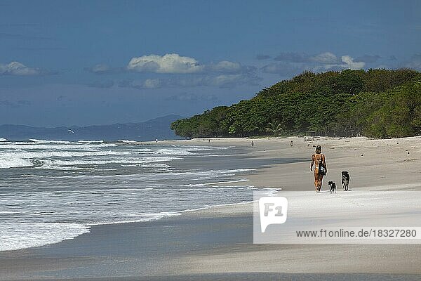 Playa Santa Teresa  Santa Teresa  Peninsula de Nicoya  Guanacaste  Costa Rica  Central America
