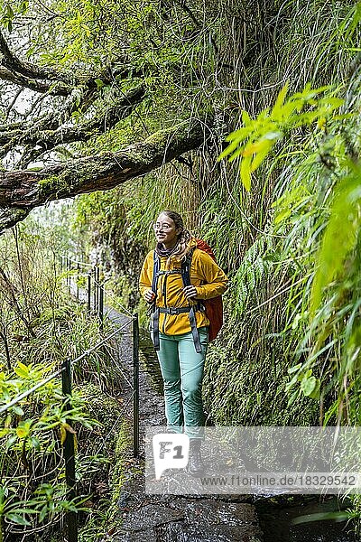 Wanderin auf einem Levada  PR9 Levada do Caldeirão Verde  Madeira  Portugal  Europa