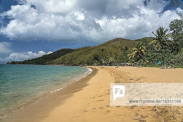 At the beach Plage de Grande Anse near Deshaies in the north of Basse-Terre  Guadeloupe  France  North America