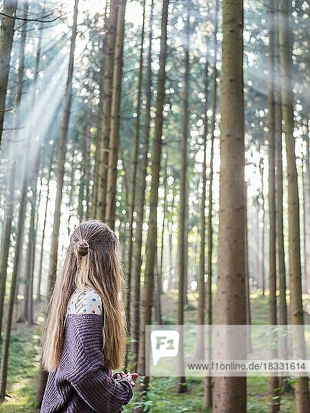 Junge Frau Mädchen Dame im Wald in der Nähe des Baumes lehnen  Waldbaden