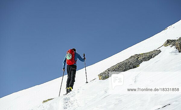 Ski tourers in good weather  Stubai Alps  mountains in winter  Kühtai  Tyrol  Austria  Europe