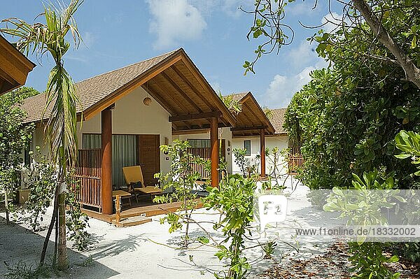 Typical garden bungalow of resort holiday resort hotel resort on Maldives Island  Filaidhoo  Raa Atoll  Maldives  Asia