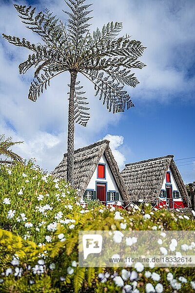 Traditional thatched house in Santana  Casa de Colmo  Madeira Island  Portugal  Europe