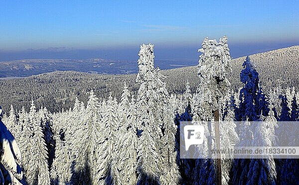 Winterlandschaft im Fichtelgebirge  Blick vom Ochsenkopf  Landkreis Bayreuth  Oberfranken  Bayern  Deutschland  Europa