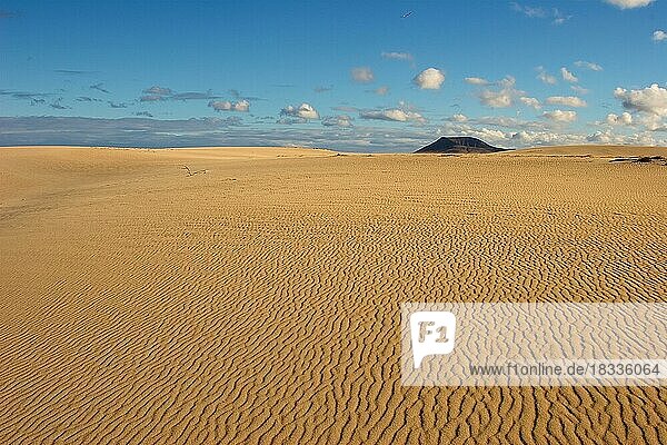 Yellow sand desert  wave-like structures in the sand  blue sky  grey-white clouds  dark hill  northeast coast  dune area  El Jable  nature reserve  Fuerteventura  Canary Islands  Spain  Europe