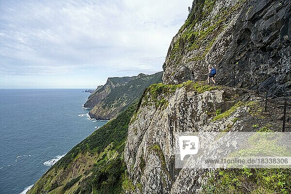 Steilklippen und Berge  Wanderin auf Wanderweg Vereda do Larano  Madeira  Portugal  Europa