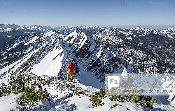 Skitourengeherin am Gipfel  Berge im Winter  Sonntagshorn  Chiemgauer Alpen  Bayern  Deutschland  Europa