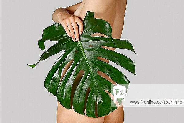 Nackter weiblicher Körper mit Palmenblatt bedeckt